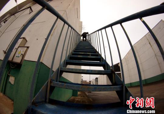 中央儲備糧江西泰和直屬庫有限公司保管員在倉庫巡查?！⊥蹶魂?攝